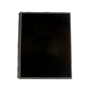 LCD Panel for iPad 2